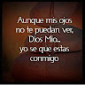 Meet your Posher, Bele